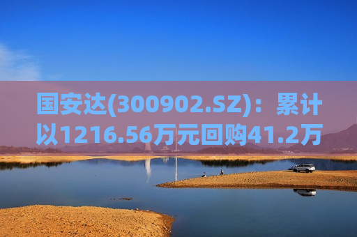 国安达(300902.SZ)：累计以1216.56万元回购41.2万股公司股份  第1张