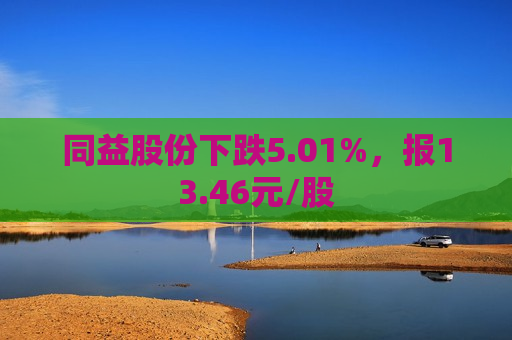 同益股份下跌5.01%，报13.46元/股