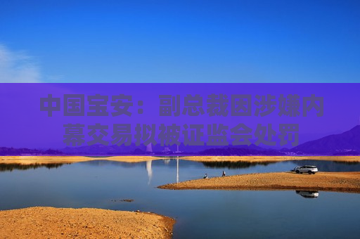 中国宝安：副总裁因涉嫌内幕交易拟被 *** 处罚