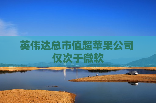 英伟达总市值超苹果公司 仅次于微软