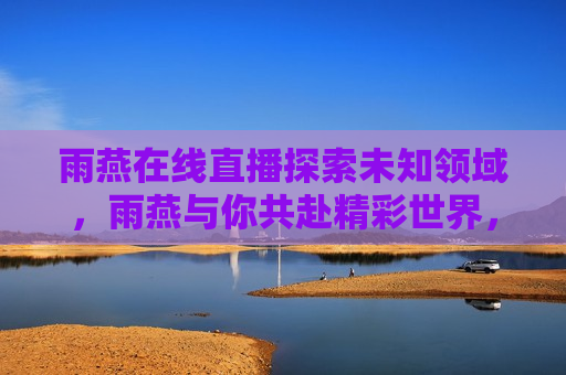 雨燕在线直播探索未知领域，雨燕与你共赴精彩世界，雨燕在线直播，共赴精彩世界，探索未知领域，雨燕与你共探未知，直播领略精彩世界