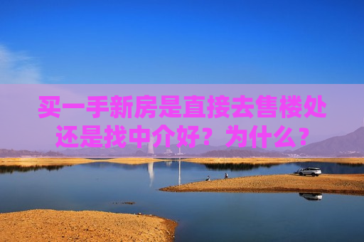 买一手新房是直接去售楼处还是找中介好？为什么？