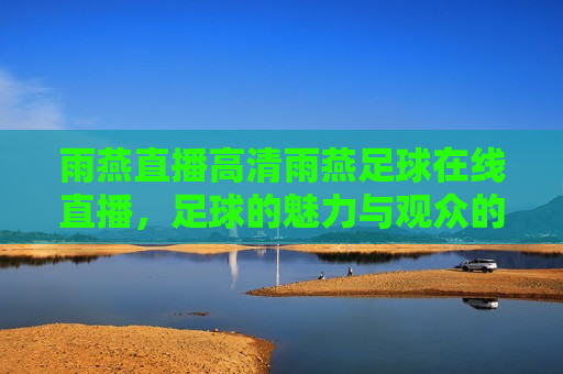 雨燕直播高清雨燕足球在线直播，足球的魅力与观众的热情，雨燕直播，足球的魅力与观众的热情共舞，雨燕直播，足球魅力与观众热情共舞
