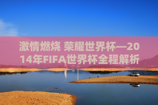  *** 燃烧 荣耀世界杯—2014年FIFA世界杯全程解析与回顾， *** 燃烧，荣耀世界杯，回顾与解析 2014 年 FIFA 世界杯， *** 燃烧，荣耀再现，回顾与解析2014年FIFA世界杯
