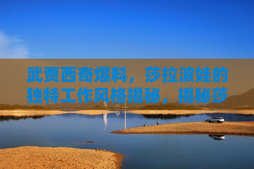 武贾西奇爆料，莎拉波娃的独特工作风格揭秘，揭秘莎拉波娃的独特工作风格，武贾西奇爆料，武贾西奇揭秘，莎拉波娃的独特工作风格