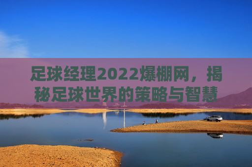 足球经理2022爆棚网，揭秘足球世界的策略与智慧