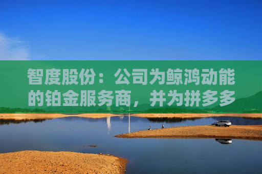 智度股份：公司为鲸鸿动能的铂金服务商，并为拼多多、字节跳动旗下的抖音和头条等KA客户提供广告运营服务  第1张