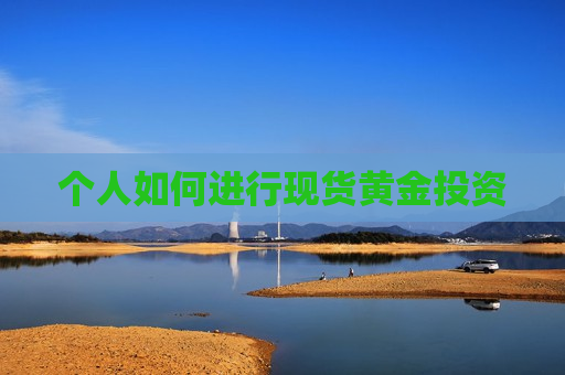 个人如何进行现货黄金投资  第1张