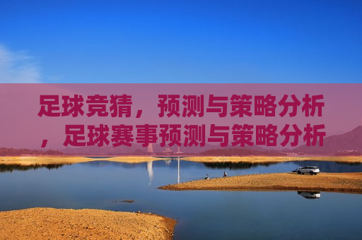 足球竞猜，预测与策略分析，足球赛事预测与策略分析，足球赛事预测与策略分析指南