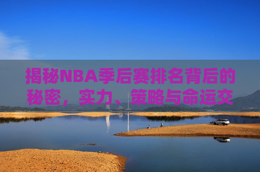 揭秘NBA季后赛排名背后的秘密，实力、策略与命运交织的竞技舞台，NBA季后赛排名背后的秘密，实力、策略与命运的较量，NBA季后赛排名背后的秘密，实力、策略与命运的较量