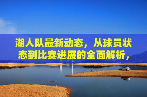 湖人队最新动态，从球员状态到比赛进展的全面解析，湖人队最新动态解析，球员状态与比赛进展全掌握  第1张