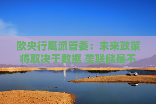 欧央行鹰派管委：未来政策将取决于数据 美联储是不可忽视的因素  第1张