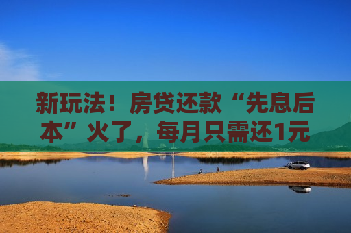 新玩法！房贷还款“先息后本”火了，每月只需还1元钱本金？媒体：别迷了眼