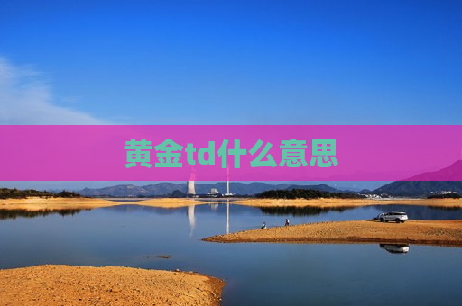 黄金td什么意思  第1张
