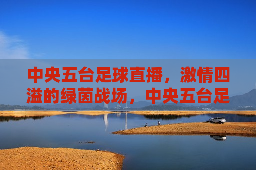 中央五台足球直播， *** 四溢的绿茵战场，中央五台足球直播，绿茵战场上的 *** 对决，中央五台足球直播，绿茵战场上的 *** 对决