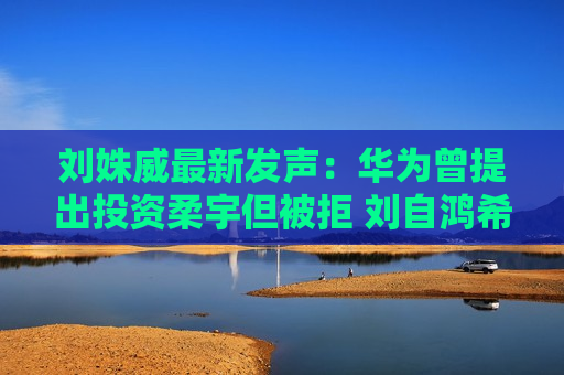 刘姝威最新发声：华为曾提出投资柔宇但被拒 刘自鸿希望独立制造所有产品