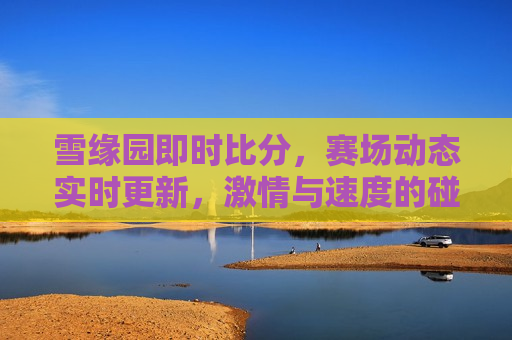 雪缘园即时比分，赛场动态实时更新， *** 与速度的碰撞，赛场动态实时更新， *** 与速度的盛宴，雪缘园即时比分， *** 与速度的盛宴，赛场动态实时更新