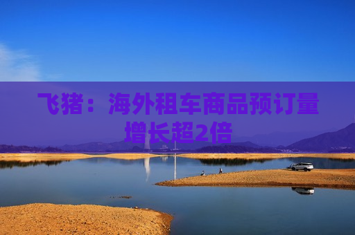 飞猪：海外租车商品预订量增长超2倍  第1张