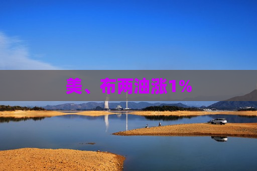美、布两油涨1%  第1张