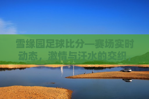 雪缘园足球比分—赛场实时动态， *** 与汗水的交织，雪缘园足球比分，赛场 *** 与汗水，雪缘园足球比分，赛场 *** 与汗水的交织