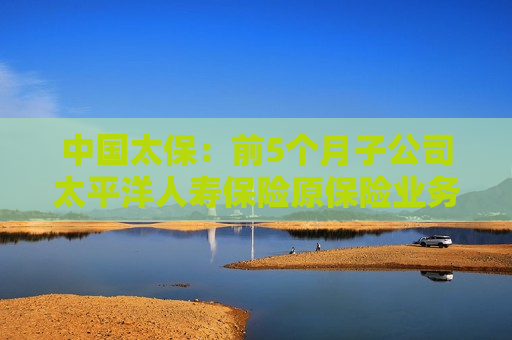 中国太保：前5个月子公司太平洋人寿保险原保险业务收入同比下降2.1%