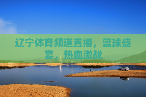 辽宁体育频道直播，篮球盛宴，热血激战