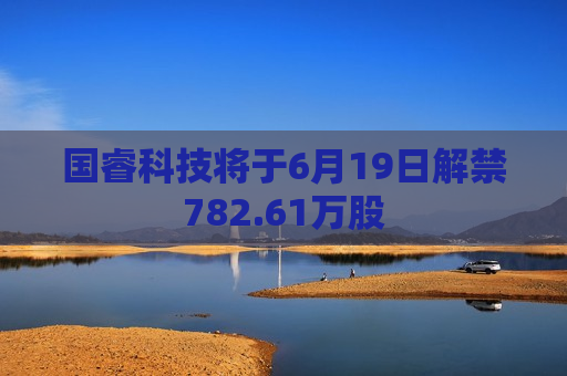 国睿科技将于6月19日解禁782.61万股  第1张