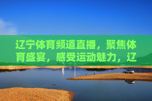 辽宁体育频道直播，聚焦体育盛宴，感受运动魅力，辽宁体育频道直播，运动魅力展现，辽宁体育频道直播，运动魅力的展现  第1张