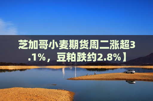 芝加哥小麦期货周二涨超3.1%，豆粕跌约2.8%】