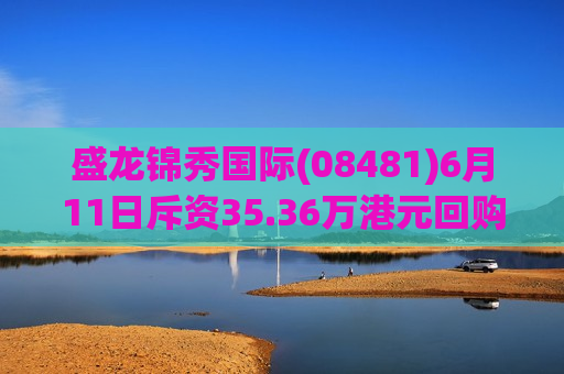 盛龙锦秀国际(08481)6月11日斥资35.36万港元回购57万股  第1张