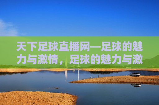 天下足球直播网—足球的魅力与 *** ，足球的魅力与 *** ，天下足球直播网，天下足球直播网，探索足球的魅力与无限 ***   第1张