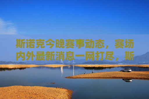 斯诺克今晚赛事动态，赛场内外最新消息一网打尽，斯诺克今晚赛事最新动态全览，斯诺克今晚赛事最新动态全览  第1张