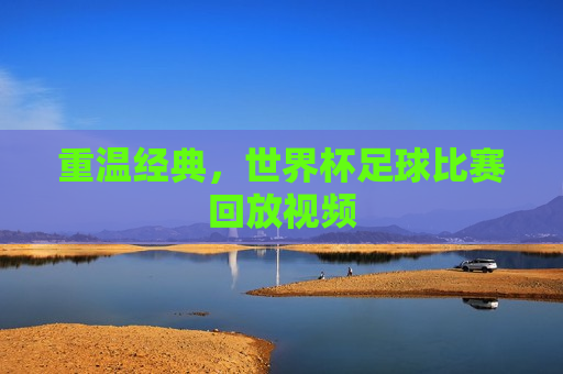 重温经典，世界杯足球比赛回放视频  第1张