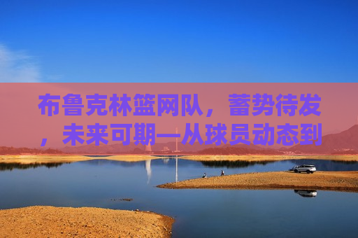 布鲁克林篮网队，蓄势待发，未来可期—从球员动态到战术分析，布鲁克林篮网队，未来可期——球员动态与战术分析