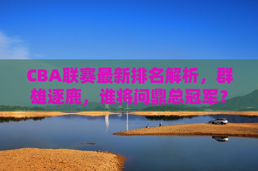 CBA联赛最新排名解析，群雄逐鹿，谁将问鼎总冠军？