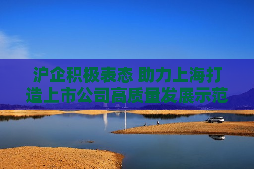 沪企积极表态 助力上海打造上市公司高质量发展示范区  第1张
