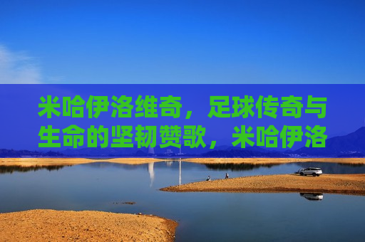 米哈伊洛维奇，足球传奇与生命的坚韧赞歌，米哈伊洛维奇，足球传奇的生命赞歌