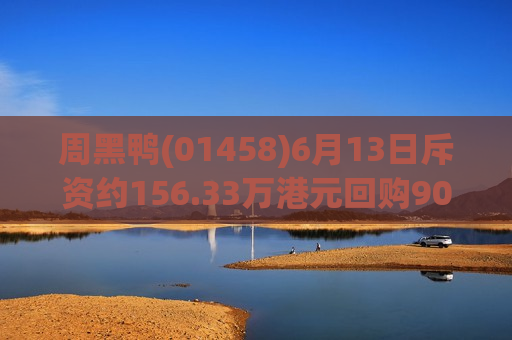 周黑鸭(01458)6月13日斥资约156.33万港元回购90.5万股