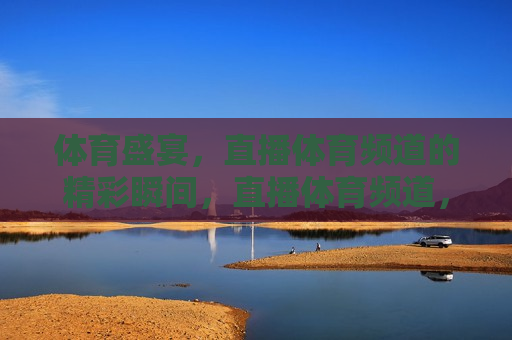 体育盛宴，直播体育频道的精彩瞬间，直播体育频道，体育盛宴的精彩瞬间，体育盛宴与直播体育频道的精彩瞬间