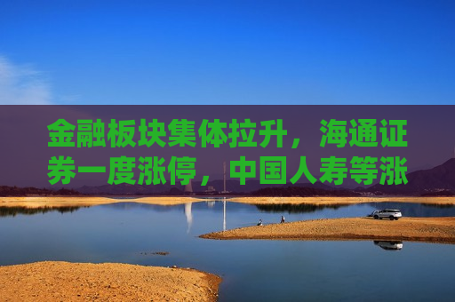 金融板块集体拉升，海通证券一度涨停，中国人寿等涨超3%