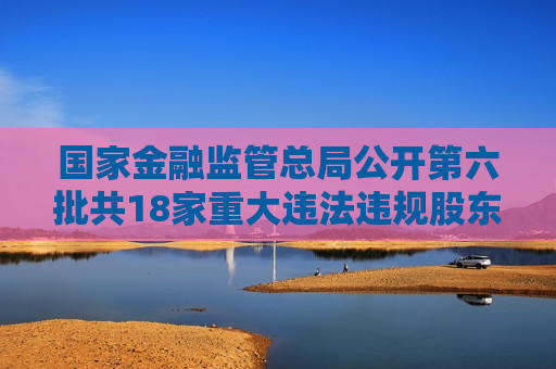国家金融监管总局公开第六批共18家重大违法违规股东名单