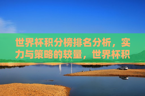 世界杯积分榜排名分析，实力与策略的较量，世界杯积分榜排名揭秘，实力与策略的博弈，世界杯积分榜排名背后的实力与策略博弈