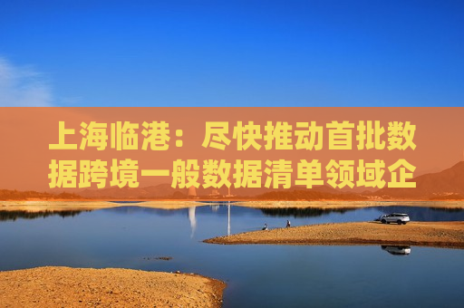 上海临港：尽快推动首批数据跨境一般数据清单领域企业场景落地