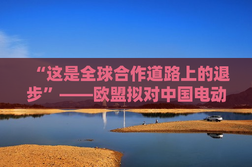 “这是全球合作道路上的退步”——欧盟拟对中国电动汽车加税引广泛担忧  第1张