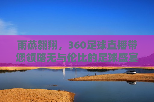 雨燕翱翔，360足球直播带您领略无与伦比的足球盛宴，雨燕翱翔，领略足球盛宴——360足球直播陪您共度精彩时刻，领略足球盛宴，与雨燕共舞，360足球直播陪您共度精彩时刻