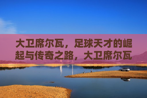 大卫席尔瓦，足球天才的崛起与传奇之路，大卫席尔瓦，足球天才的传奇之路，大卫席尔瓦，足球天才的崛起与传奇之路  第1张