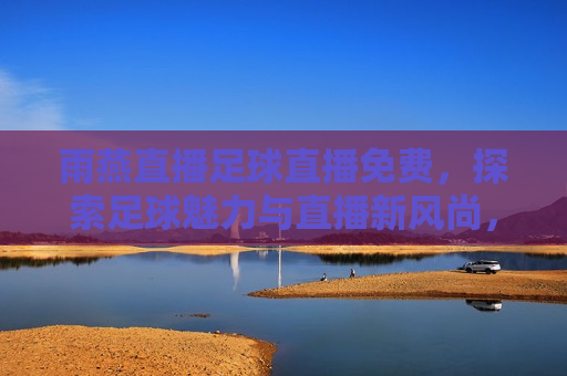 雨燕直播足球直播免费，探索足球魅力与直播新风尚，雨燕直播，免费探索足球魅力与直播新风尚，雨燕直播，免费探索足球魅力与直播新风尚