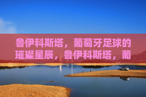 鲁伊科斯塔，葡萄牙足球的璀璨星辰，鲁伊科斯塔，葡萄牙足球的耀眼星辰