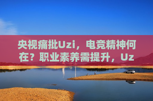 央视痛批Uzi，电竞精神何在？职业素养需提升，Uzi遭央视批评，电竞精神缺失，职业素养亟待提升，央视批评，Uzi电竞精神缺失，职业素养亟待提升