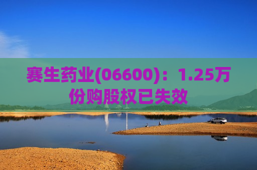赛生药业(06600)：1.25万份购股权已失效  第1张